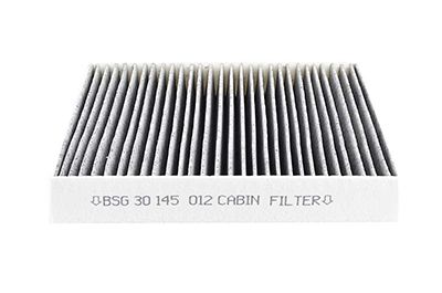 BSG 30-145-012 | Polen Filtresi (Karbonlu) / 3M5j 19G244 Abhf