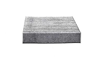 BSG 30-145-013 | Polen Filtresi (Karbonlu)