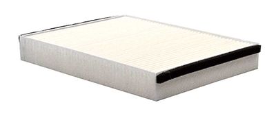 BSG 30-145-017 | Polen Filtresi