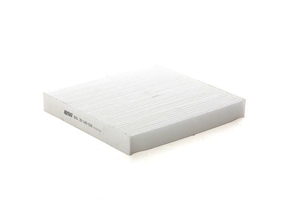 BSG 30-145-024 | Polen Filtresi Karbonlu/Ucy061p11;Ucy0-61-P11 Ranger/Mazda 2,2-3,2 TDCI 12-