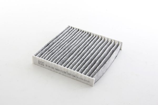 BSG 30-145-028 | Polen Filtresi Karbonlu