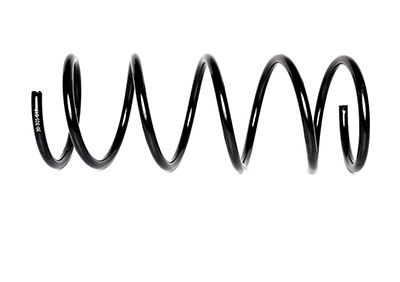 BSG 30-305-017 | Helezon Yayı Ön