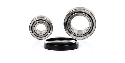 BSG 30-600-003 | Porya Rulmanı Ön