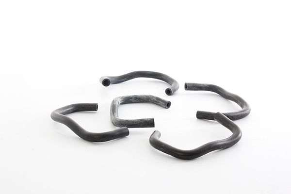 BSG 30-720-173 | Karter Havalandırma Hortumu