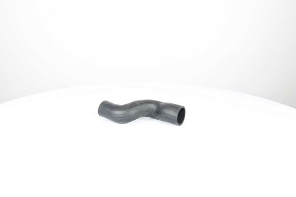 BSG 30-720-247 | Turbo Hortumu