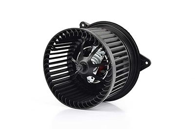 BSG 30-845-005 | Kalorifer Motoru 2T1h 18456 Aa Focus/Connect Bm 98-13