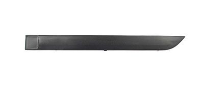 BSG 30-924-005 | Kapı Kuşağı Arka Sol  Focus Bm 98-