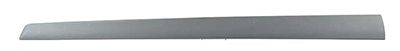 BSG 30-924-023 | Kapı Bandı Ön Sağ (5 Kapı) (Gri)