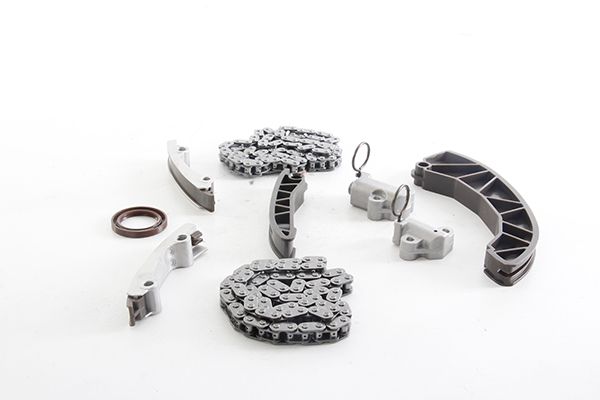 BSG 40-102-011 | Eksantrik Zincir Seti 2 Zincir-4 Kızak-2 Zincir Gergisi