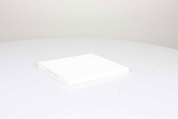 BSG 40-145-019 | Polen Filtresi Klima Filtresi : Tek Parça Karbonsuz Santafe/Ix55 Benzin-Dizel 2009-