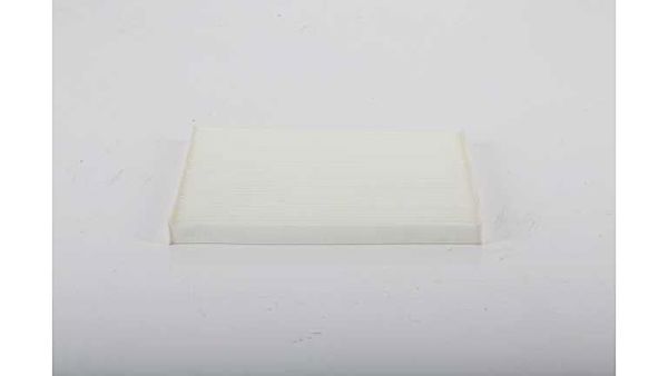 BSG 40-145-023 | Polen Filtresi Klima Filtresi Karbonsuz