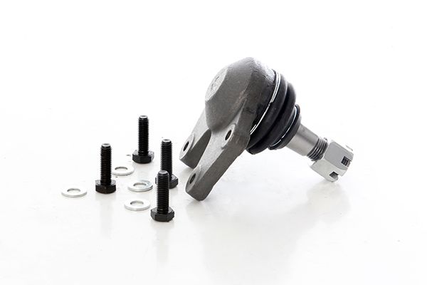 BSG 40-310-227 | Rotil Alt Sağ / Sol