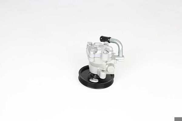 BSG 40-355-005 | Direksiyon Pompası