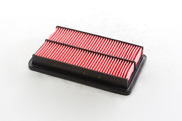 BSG 55-135-002 | Hava Filtresi Plastik Tip