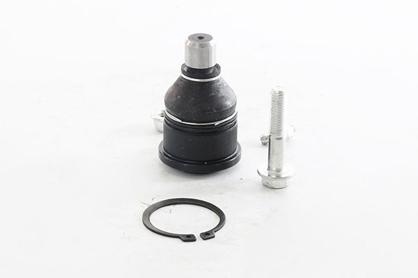 BSG 55-310-001 | Rotil Alt  626 (Gd, Ge, Gf) : 323 (Bj) 99-02 2.0 88-01