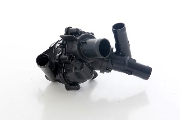 BSG 60-125-018 | Termostat