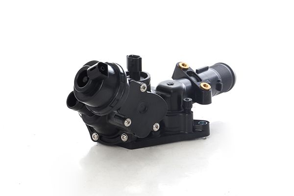 BSG 60-125-026 | Termostat Komple