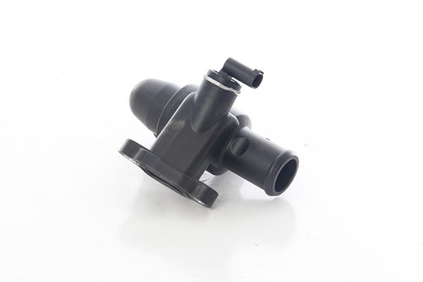 BSG 60-125-027 | Termostat