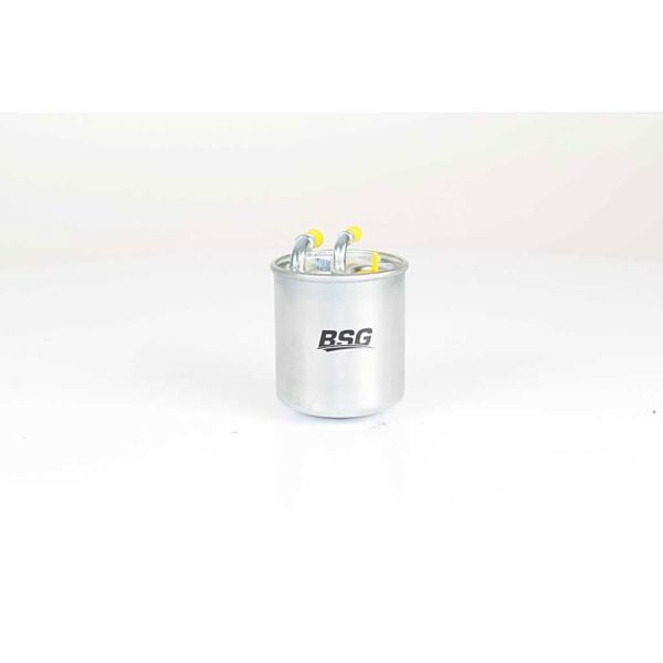 BSG 60-130-012 | Yakıt Filtresi