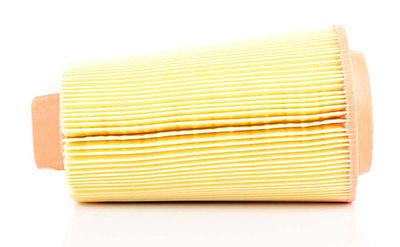 BSG 60-135-007 | Hava Filtresi