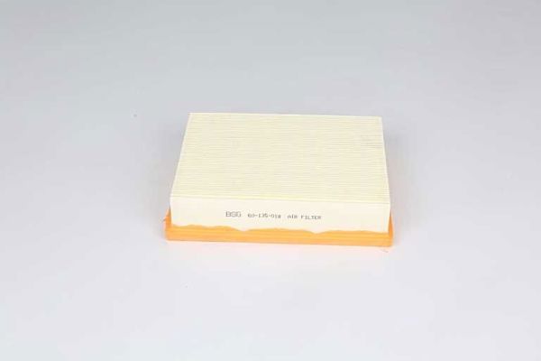 BSG 60-135-018 | Hava Filtresi