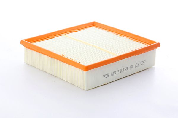 BSG 60-135-027 | Hava Filtresi