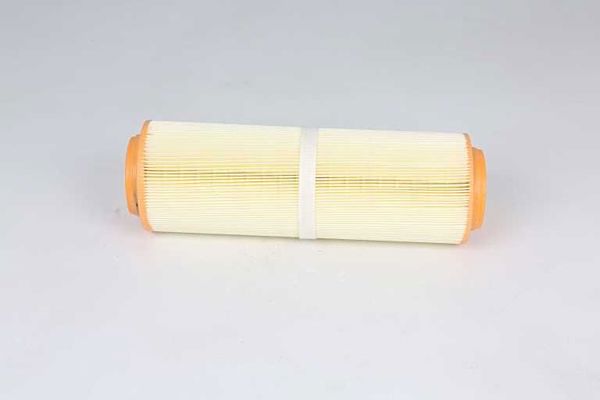 BSG 60-135-033 | Hava Filtresi