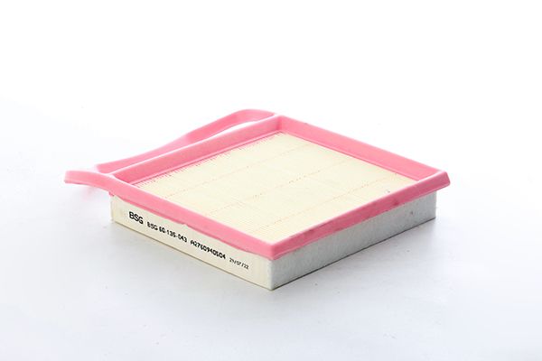 BSG 60-135-043 | Hava Filtresi