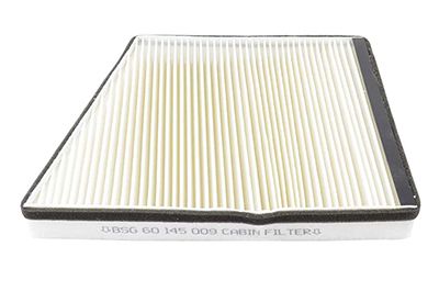BSG 60-145-009 | Polen Filtresi Karbonsuz