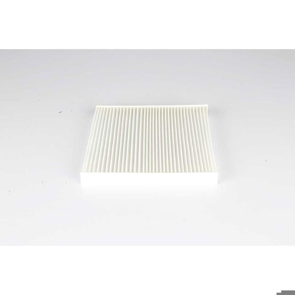 BSG 60-145-028 | Polen Filtresi Karbonsuz