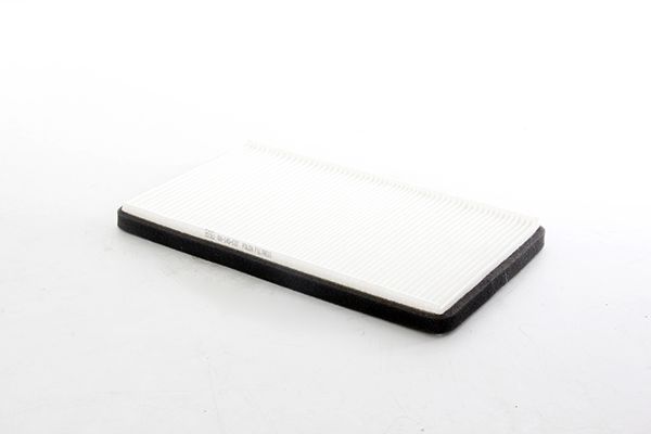 BSG 60-145-037 | Polen Filtresi