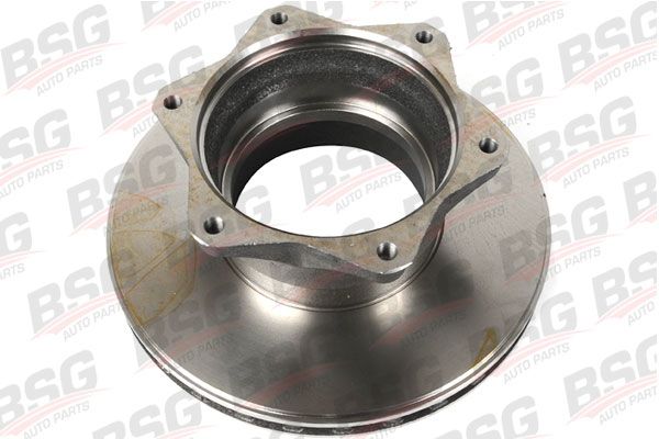 BSG 60-210-001 | Fren Diski Arka  Varıo.612,814,815,816.D Om.602,904 96+&