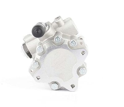 BSG 60-355-007 | Direksiyon Pompası  Vito,110D Om601 97-99