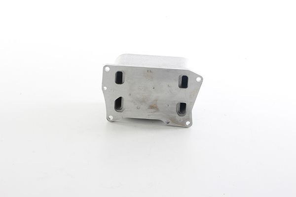 BSG 60-506-019 | Yağ Soğutucu Radyatörlerı