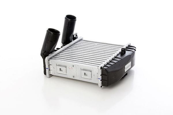 BSG 60-535-019 | Turbo Radyatörü