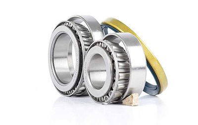 BSG 60-600-007 | Porya Rulmanı Arka