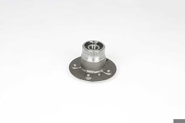 BSG 60-600-013 | Porya Arka Rulmanlı Komple