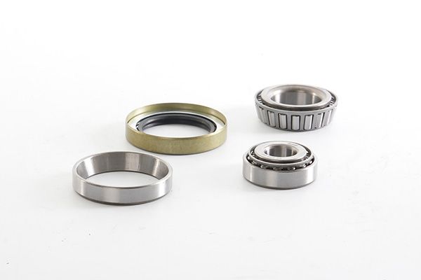 BSG 60-600-031 | Porya Rulmanı Ön Tamir Takımı