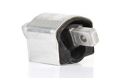 BSG 60-700-137 | Şanzıman Takozu