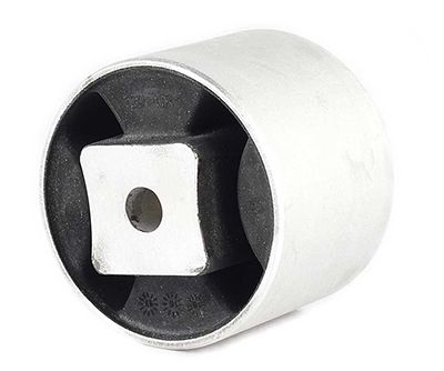 BSG 60-700-153 | Şanzuman Takozu  Vito,108,112,113Cdı Om611 99-03