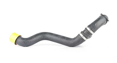 BSG 60-720-186 | Radyatör Hortumu Alt