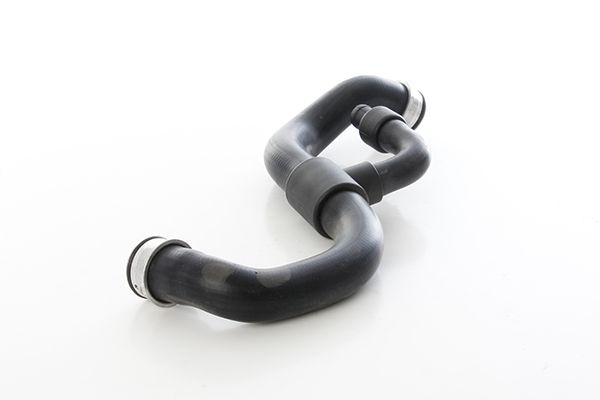 BSG 60-720-321 | Radyatör Hortumu Alt