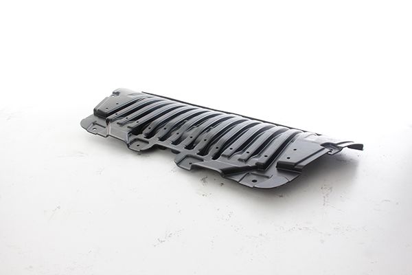 BSG 60-922-015 | Radyatör Alt Bakaliti