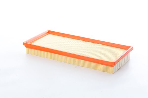 BSG 62-135-001 | Hava Filtresi .