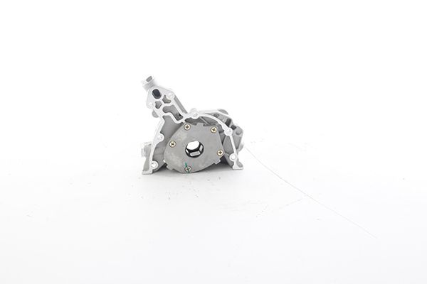 BSG 65-101-001 | Yağ Pompası