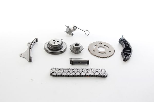 BSG 65-102-002 | Eksantrik Zincir Seti Zincir-3 Kızak-Eksantrik Dıslı-Krank Dıslı-Eksantrik Mil Ayarlayıcı (Vanos)-Zınc