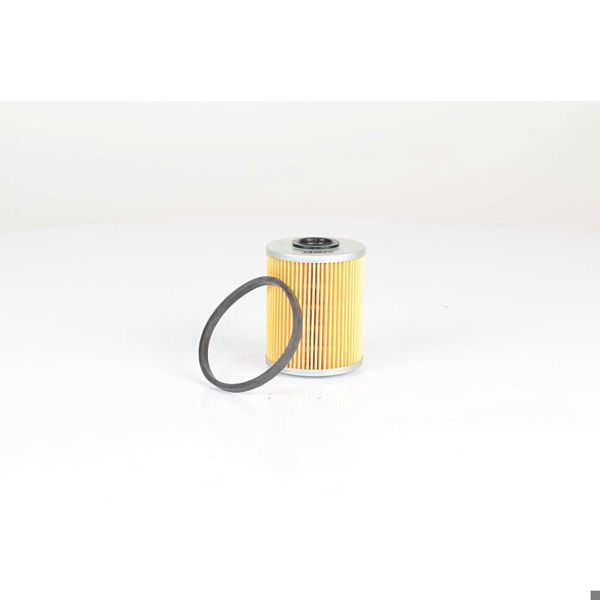 BSG 65-130-010 | Yakıt Filtresi