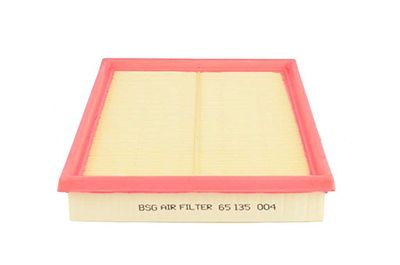 BSG 65-135-004 | Hava Filtresi