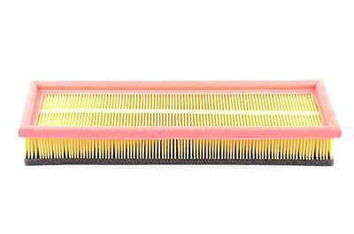 BSG 65-135-013 | Hava Filtresi