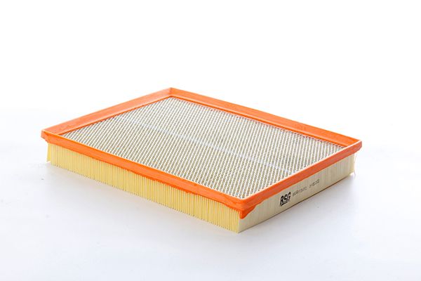 BSG 65-135-030 | Hava Filtresi